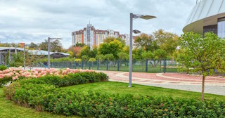 Профессиональное озеленение улиц в Находке в октябре