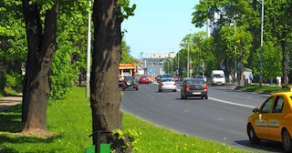 Посадка деревьев и кустарников в Находке — стоимость от 1238 руб.